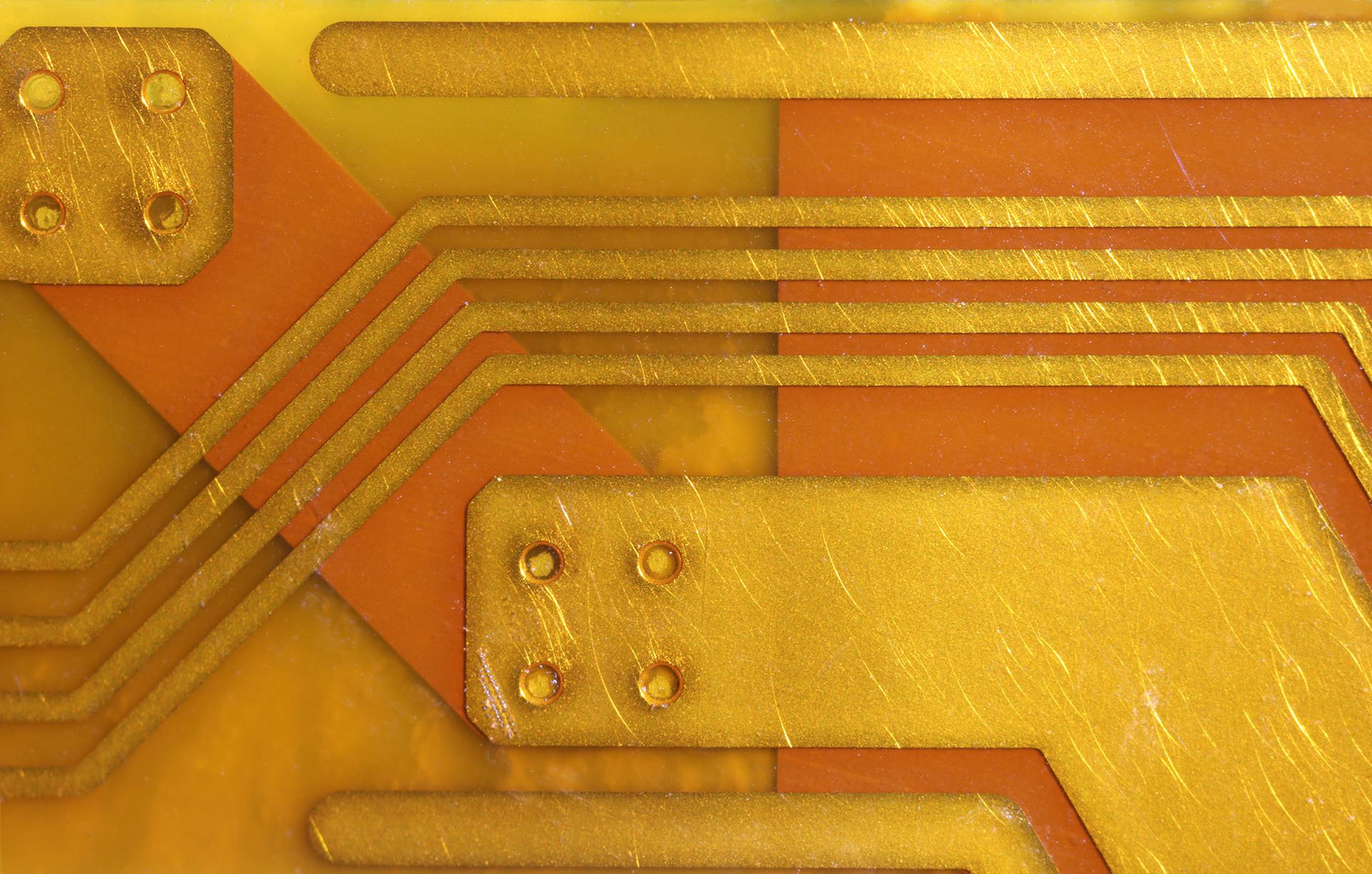 Workforce + Citizen Identity Convergence - The Future of Digital Trust